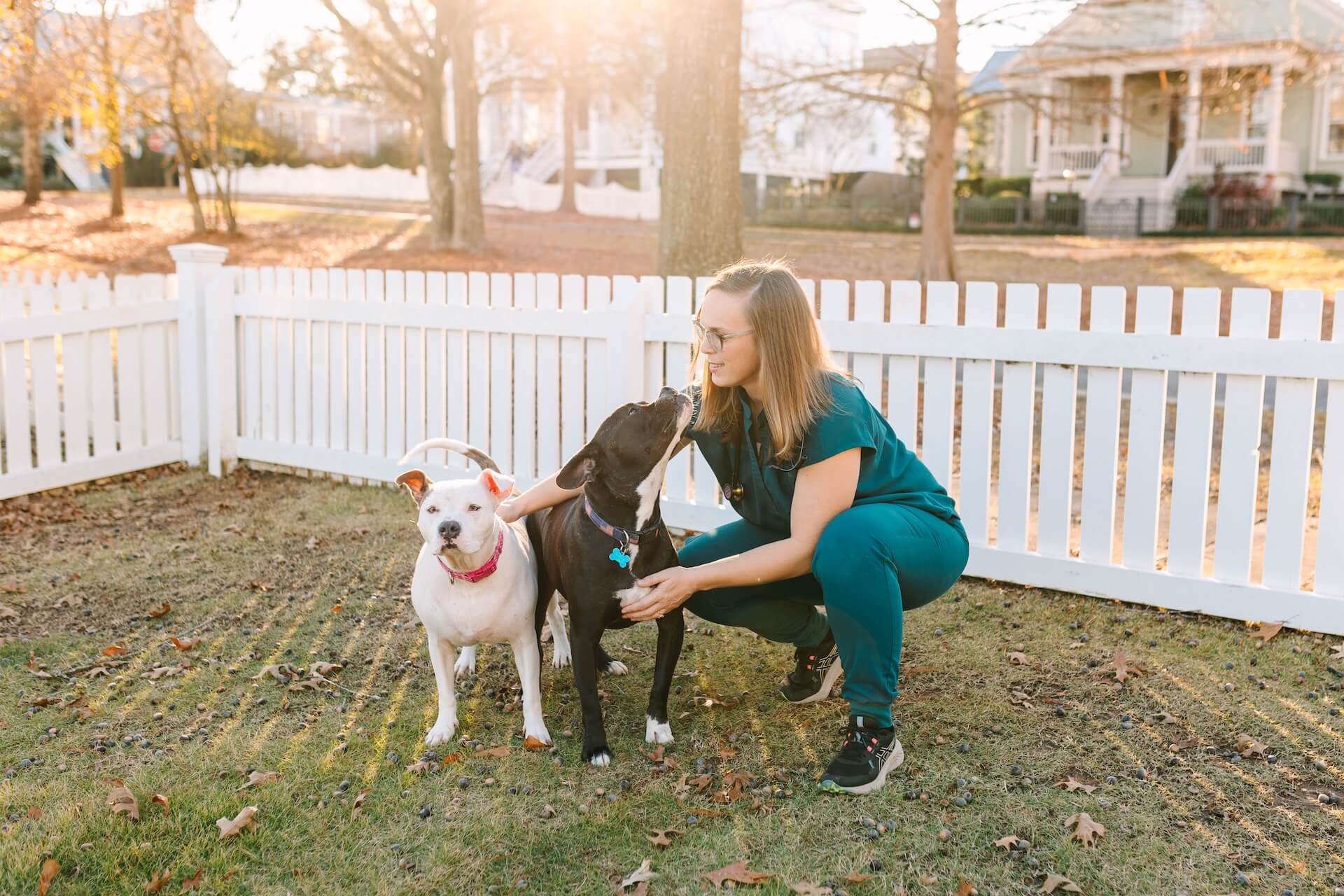 Veterinarians near me Mobile