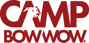 Camp Bow Wow