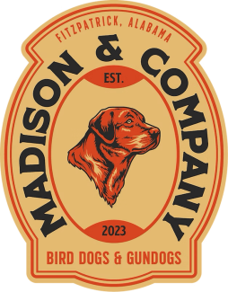 Madison and Company Bird Dogs and Gundogs